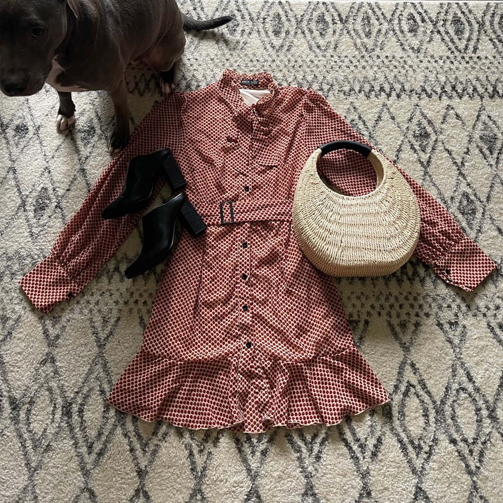 SHEIN Medium Retro Dress